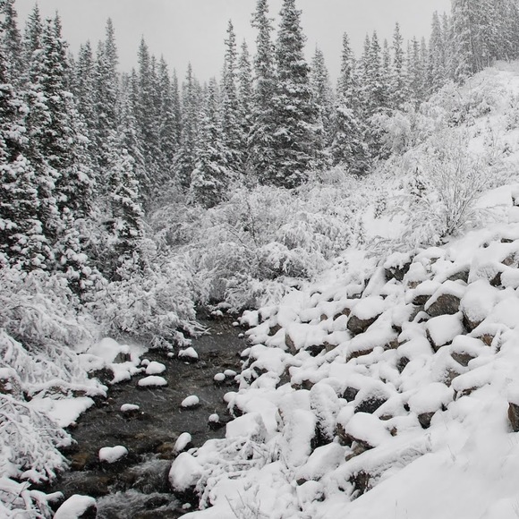 Meet your Posher, Jerri - Picture 1 of 1